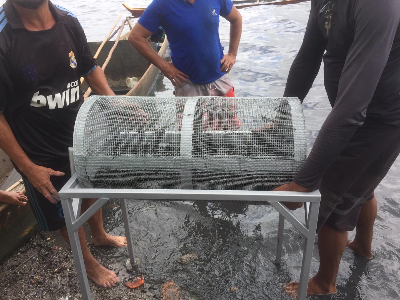 Suruneira sendo usada por pescadores de Maceió / Foto: arquivo pessoal Suruneira sendo usada por pescadores de Maceió / Foto: arquivo pessoal